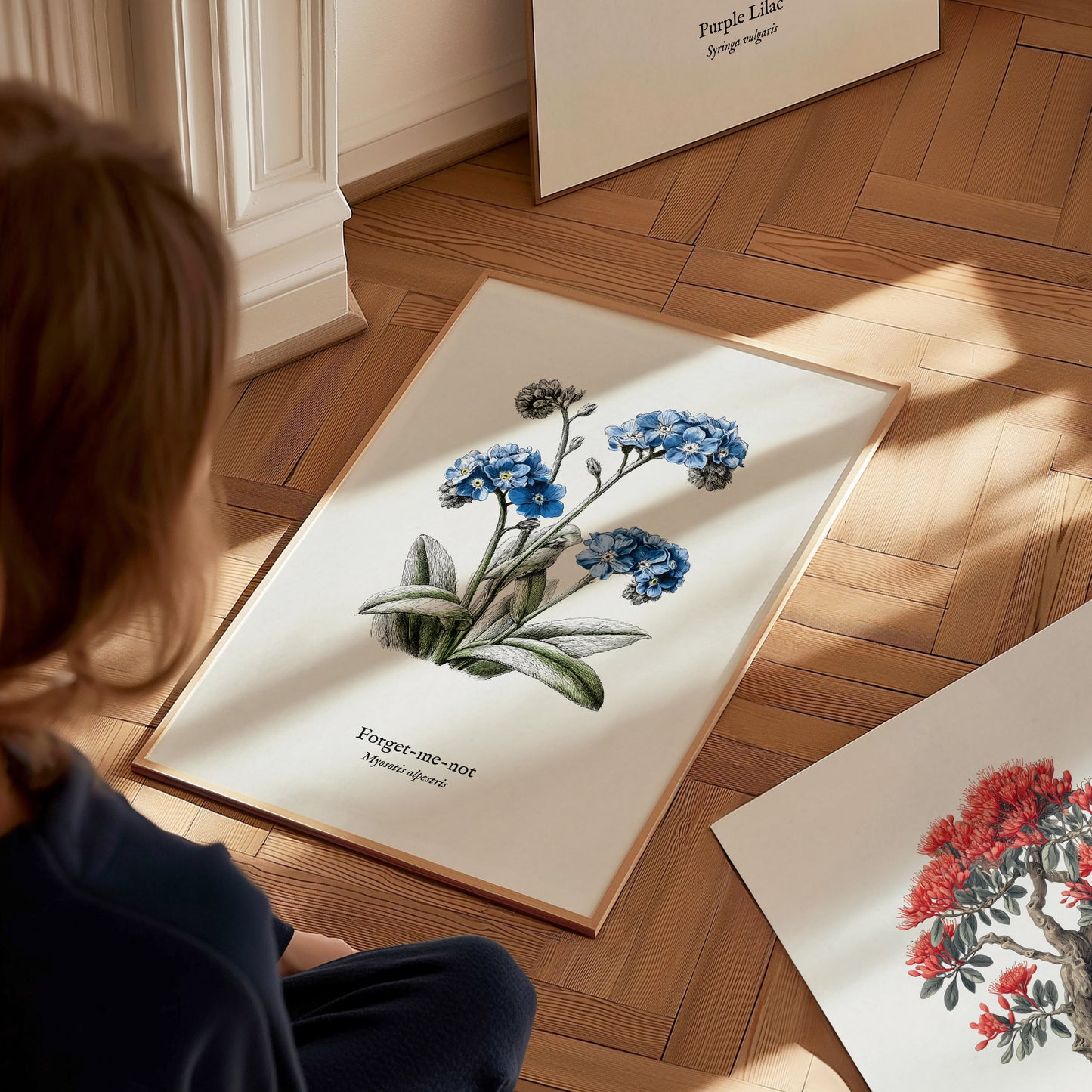 Forget-Me-Not Poster | Vintage Myosotis Alpestris Botanical Illustration Wall Art — styled in a modern interior