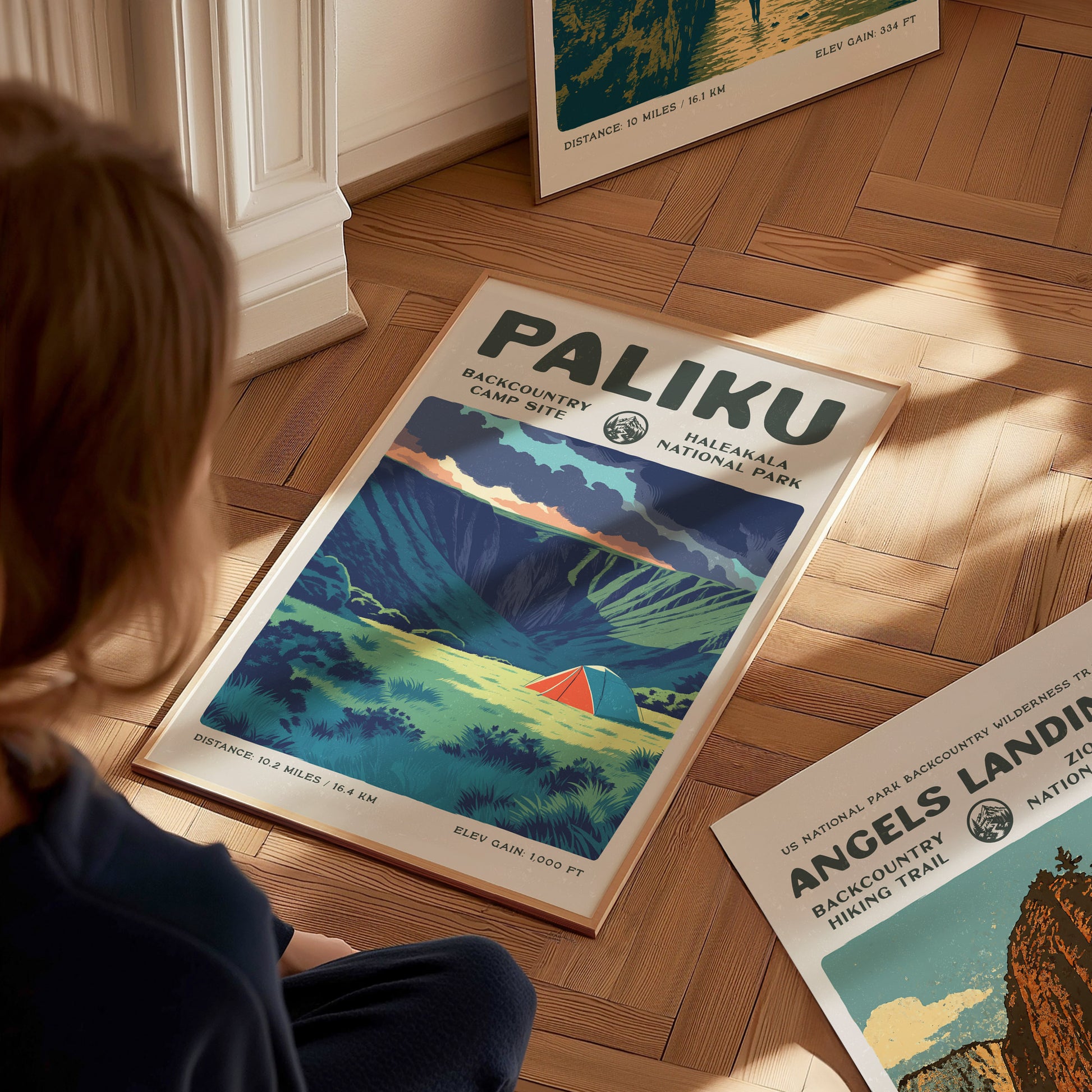 Paliku, Haleakala National Park Poster | Backpacker Gift | Misty Crater Wilderness Wall Art — styled in a modern interior