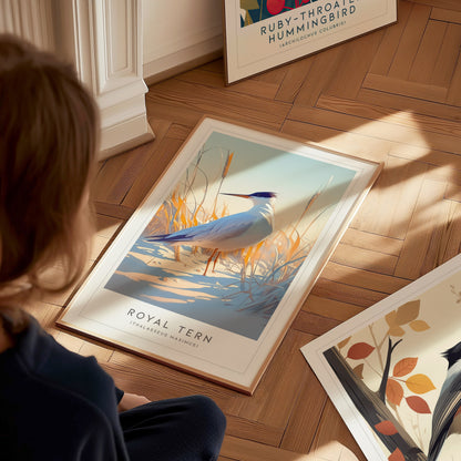 Royal Tern Poster | Beach Bird Art Coastal Decor | Birdwatching Gift