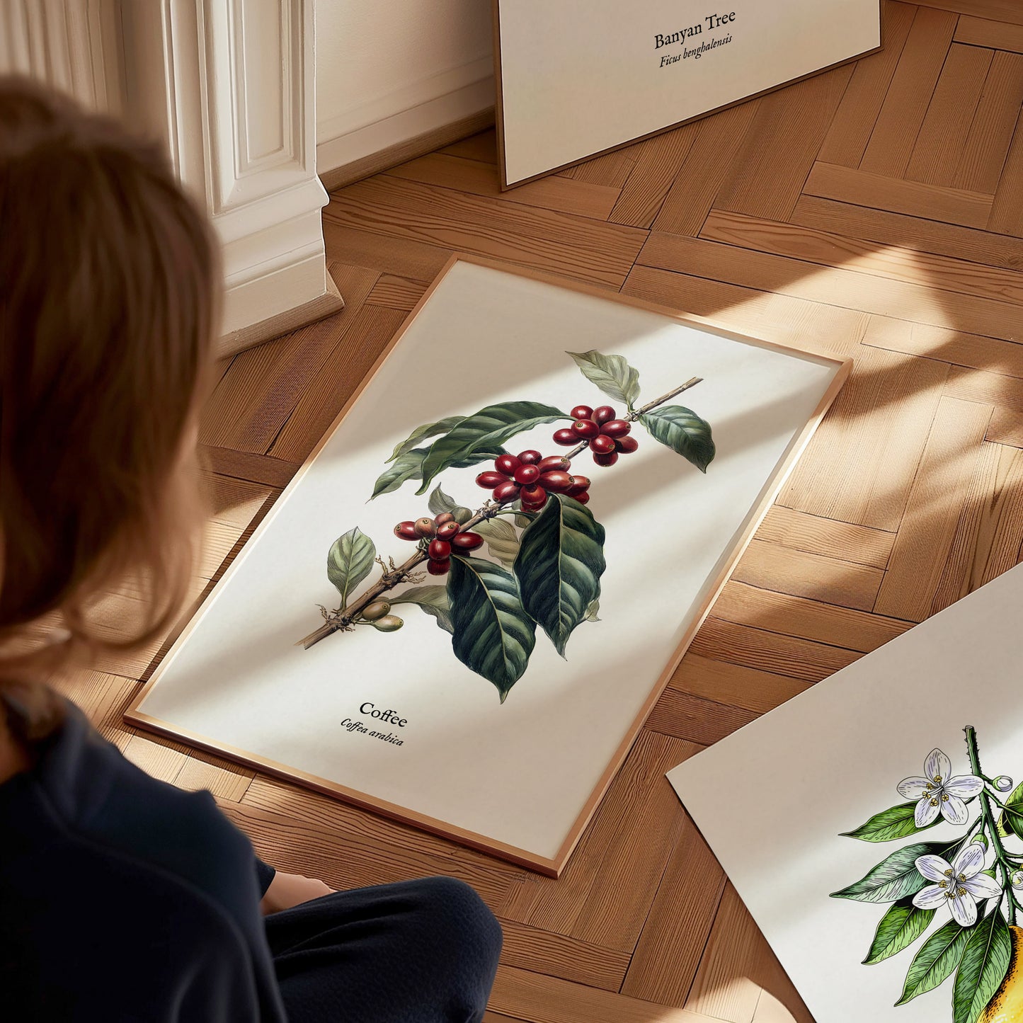 Coffee Poster | Vintage Coffea Arabica Botanical Illustration Wall Art — styled in a modern interior
