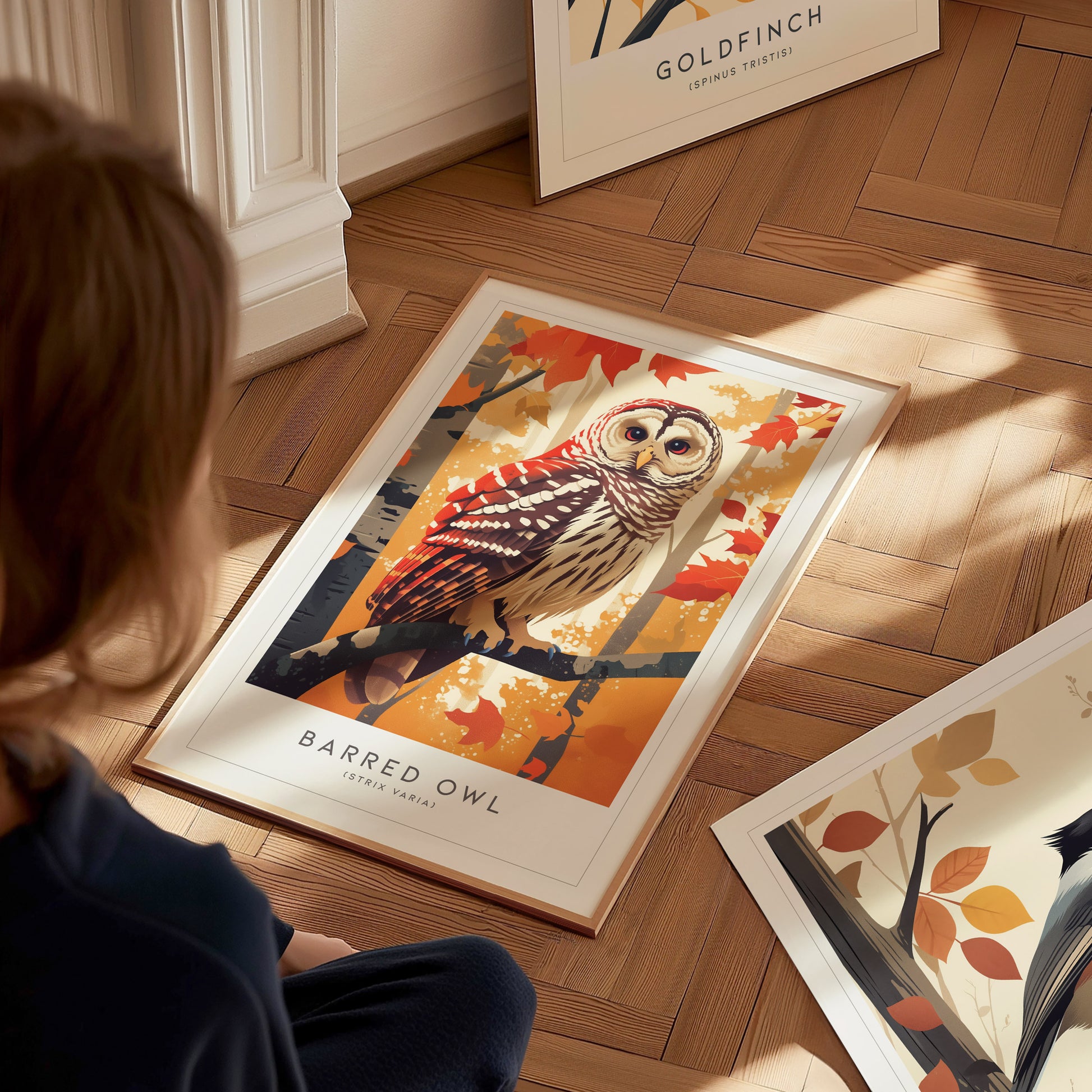 Barred Owl Audubon Print | Bird Lover Wall Art | Framed or Unframed