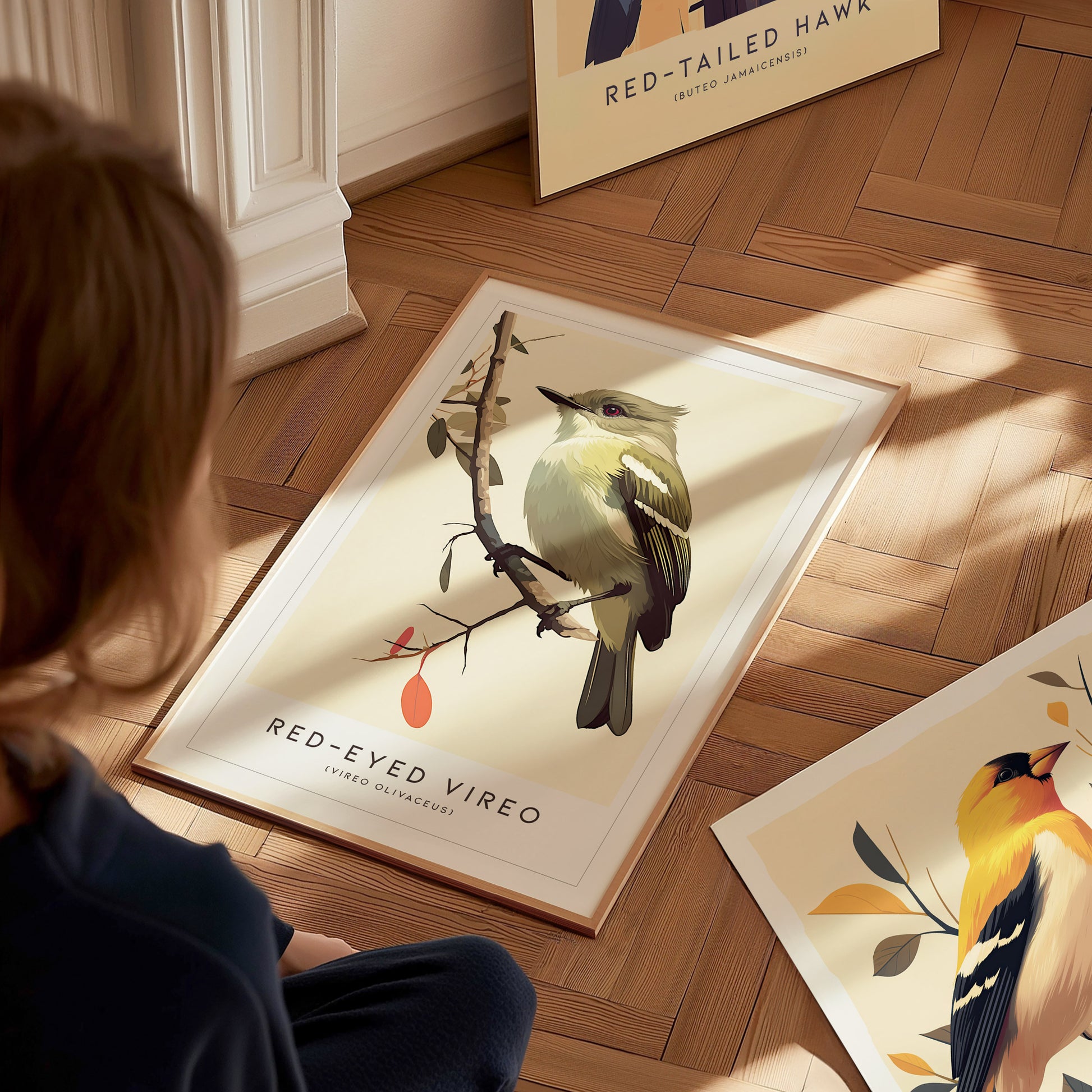 Red-Eyed Vireo Poster | Forest Songbird Wall Art