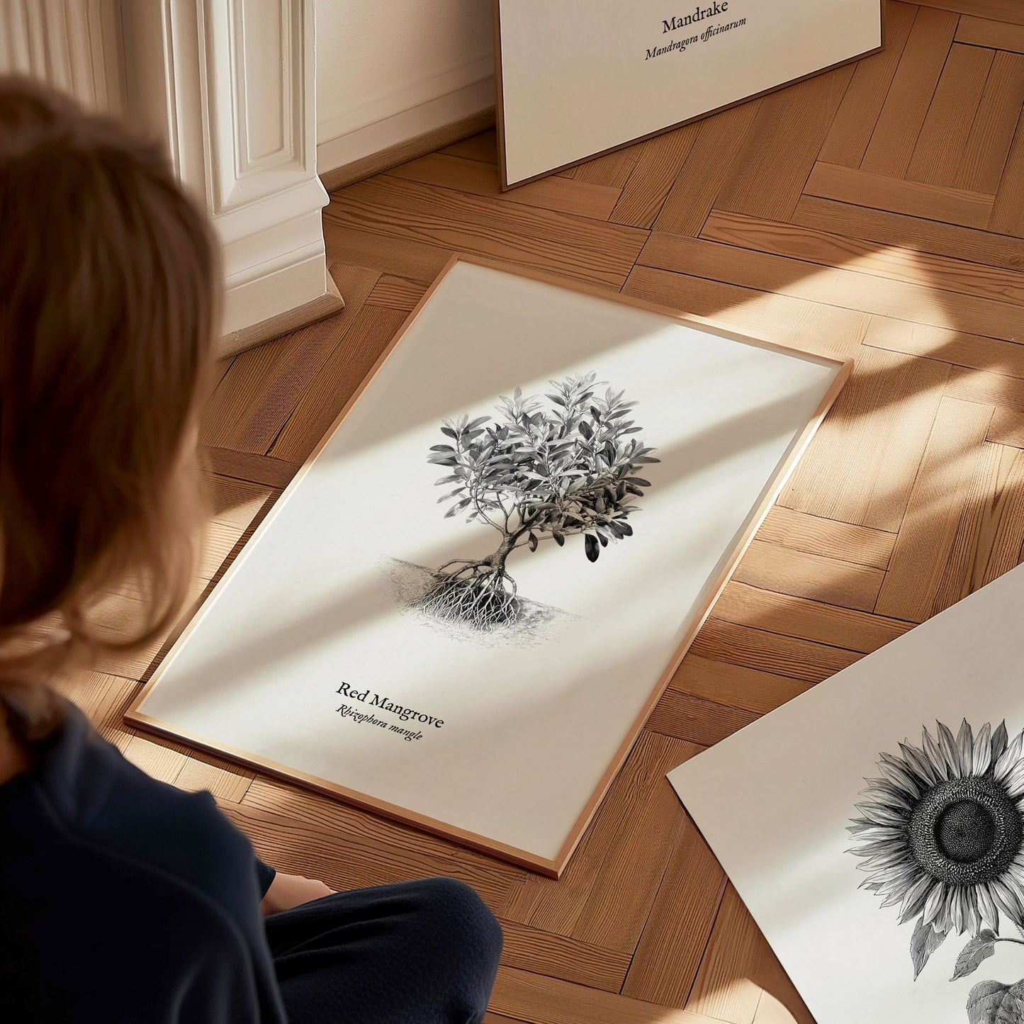 Red Mangrove Poster | Rhizophora Mangle Pen and Ink Print Vintage Botanical Illustration — styled in a modern interior