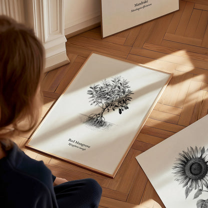 Red Mangrove Poster | Rhizophora Mangle Pen and Ink Print Vintage Botanical Illustration — styled in a modern interior