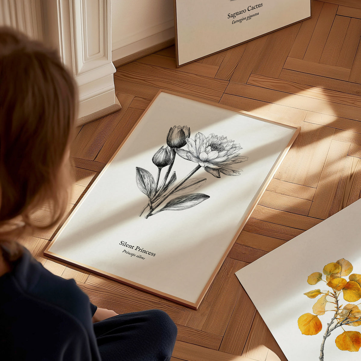 Silent Princess Poster | Princeps Silens Pen and Ink Print Vintage Scientific Illustration Wall Art — styled in a modern inte