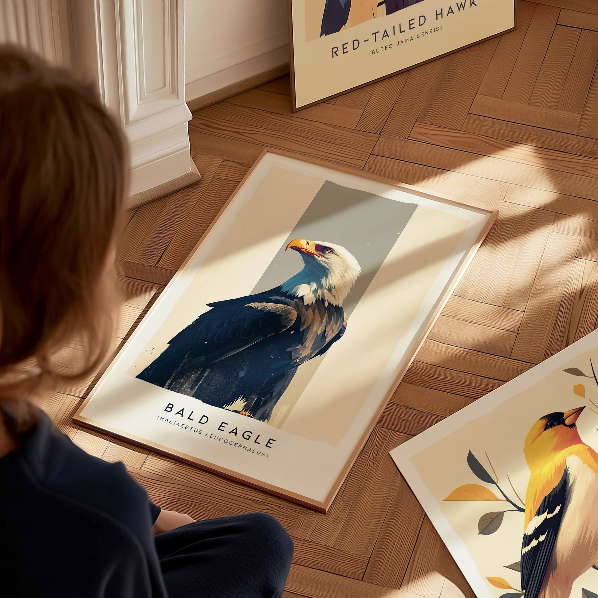 Bald Eagle Audubon Print | Bird of Prey American Wildlife Wall Art | Framed or Unframed