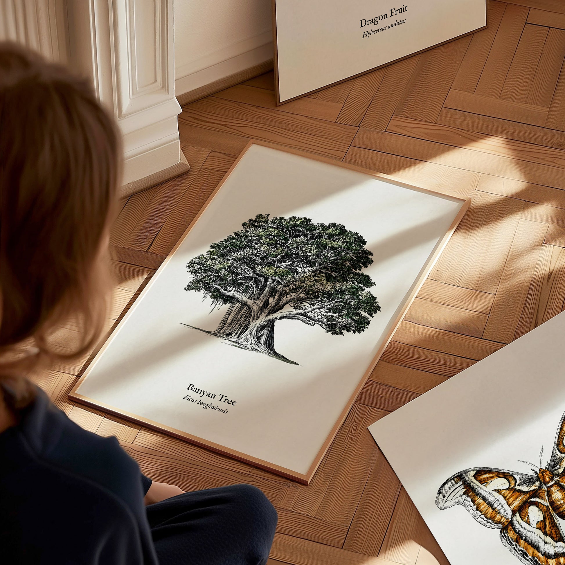 Banyan Tree Poster | Vintage Ficus benghalensis Botanical Illustration Wall Art — styled in a modern interior