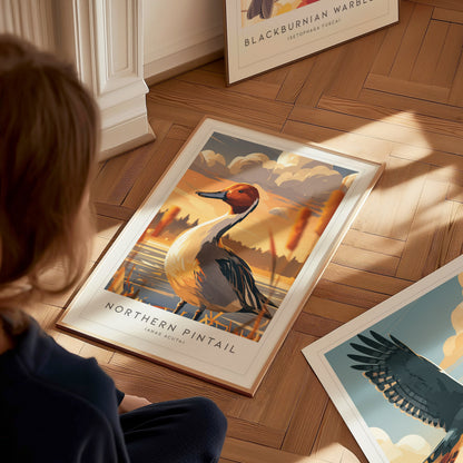 Northern Pintail, Anas acuta Poster | Elegant Waterfowl Bird Wall Art — styled in a modern interior