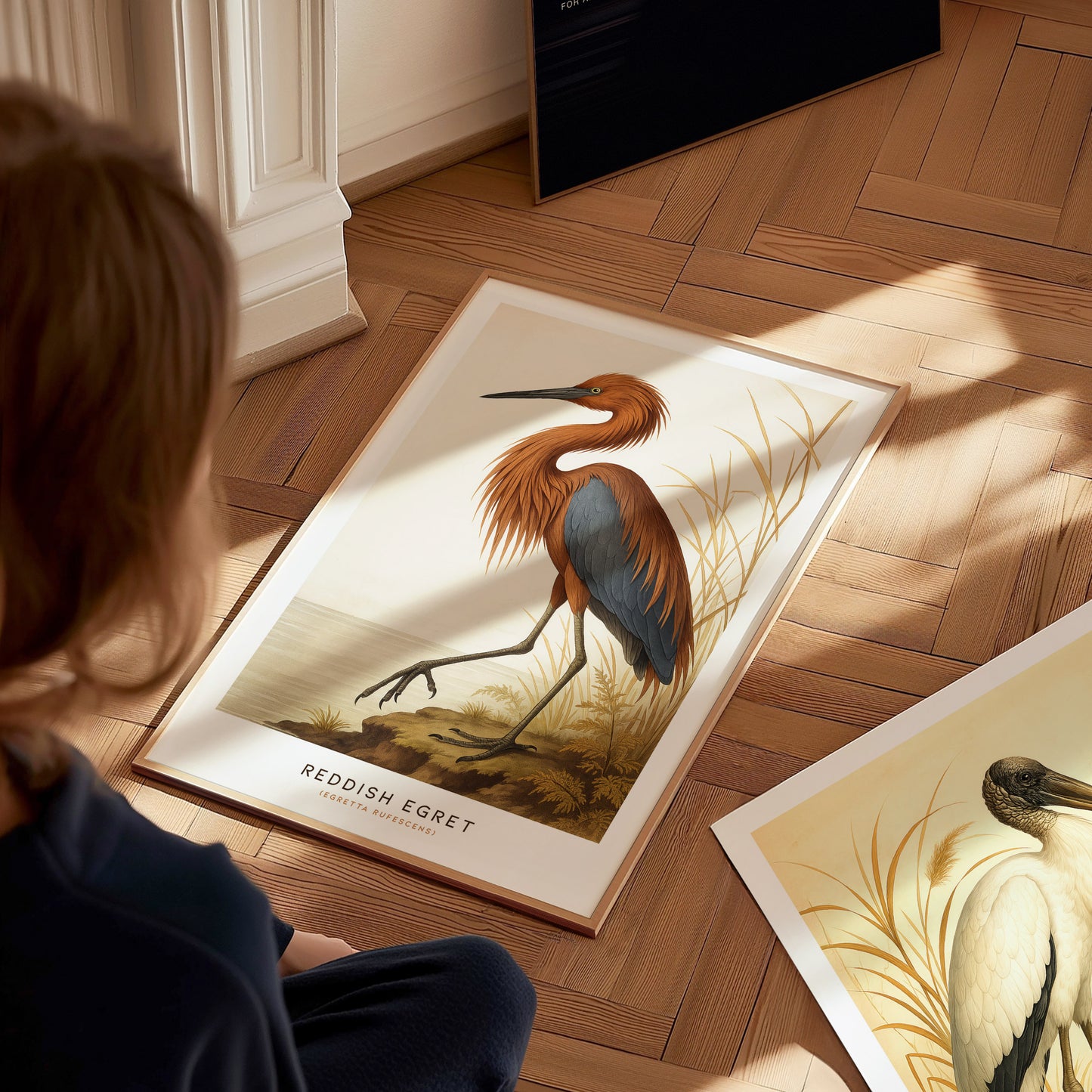A person is sitting on a wooden floor, admiring a poster featuring a detailed illustration of a Reddish Egret with shaggy plumage and a rust-colored neck. The wall art captures the elegance of the bird in a natural setting.