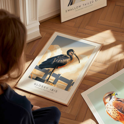 Glossy Ibis Poster | Iridescent Wading Bird Nature Wall Art — styled in a modern interior