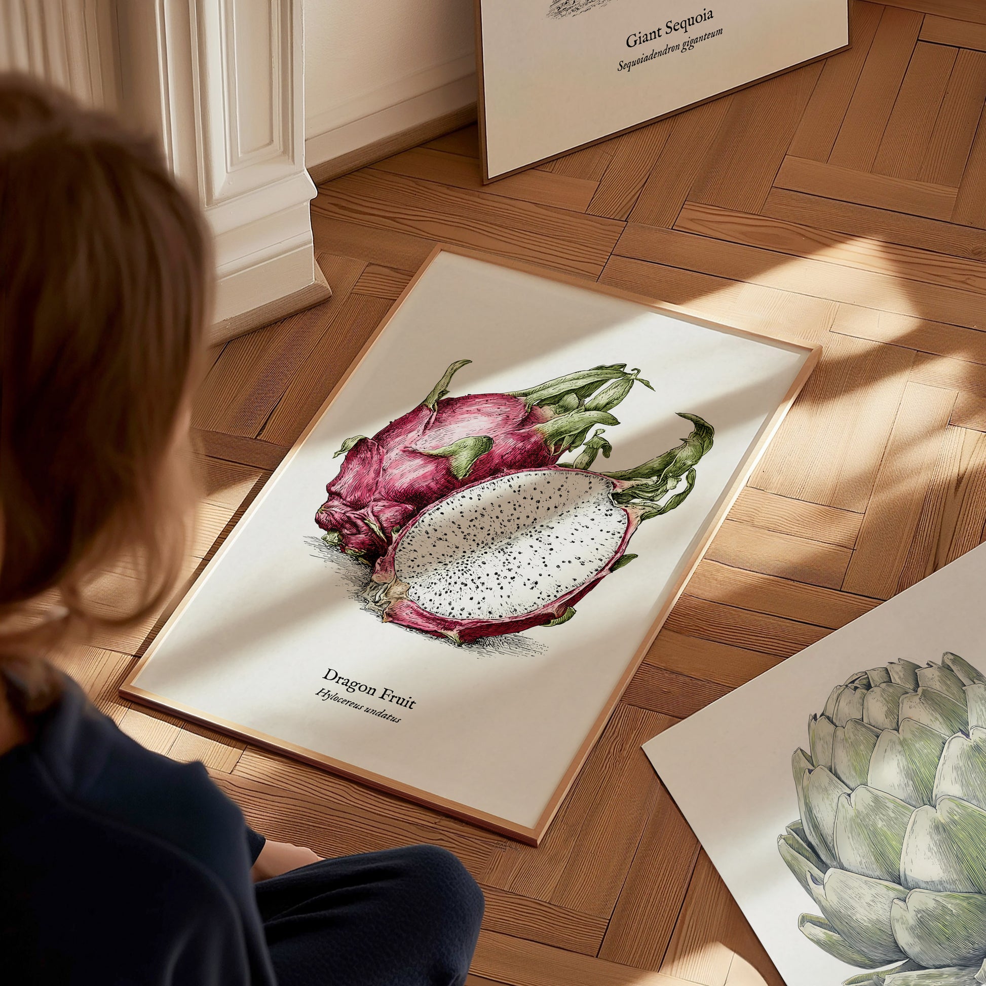 Dragon Fruit Poster | Vintage Hylocereus undatus Botanical Illustration Wall Art — styled in a modern interior
