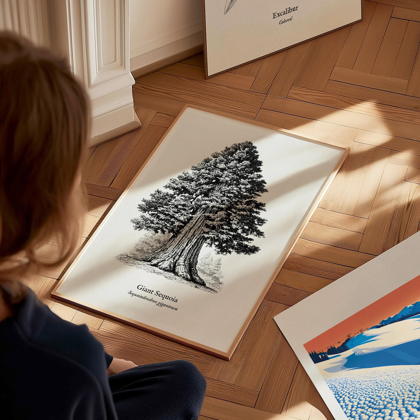Giant Sequoia Poster | Vintage Sequoiadendron Giganteum Botanical Illustration Wall Art — styled in a modern interior