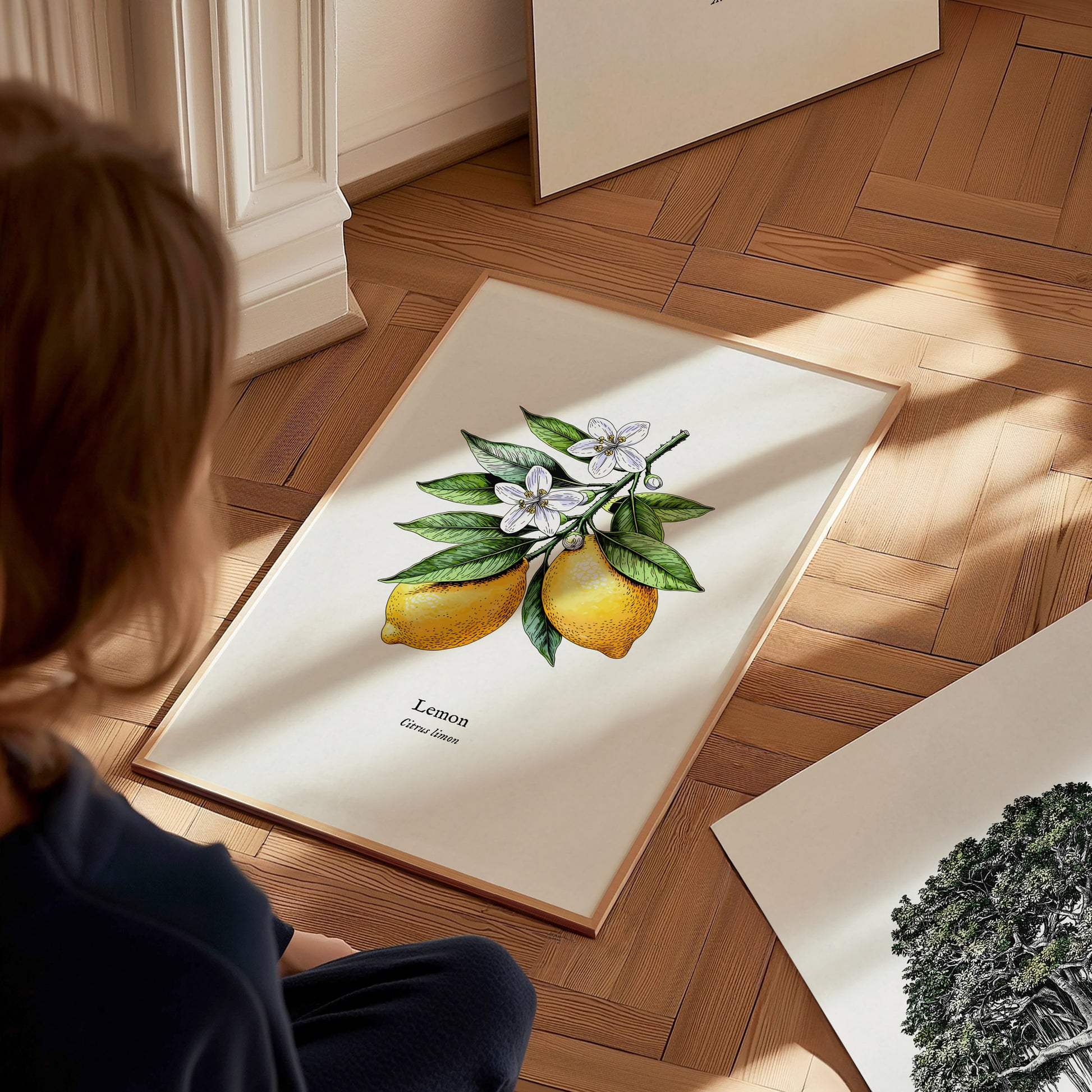 Botanical Lemon Poster | Citrus x Limon Framed Wall Art — styled in a modern interior