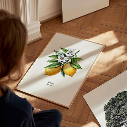 Botanical Lemon Poster | Citrus x Limon Framed Wall Art — styled in a modern interior