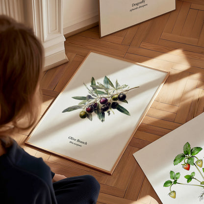 Olive Branch Poster | Vintage Olea europaea Botanical Illustration Wall Art — styled in a modern interior