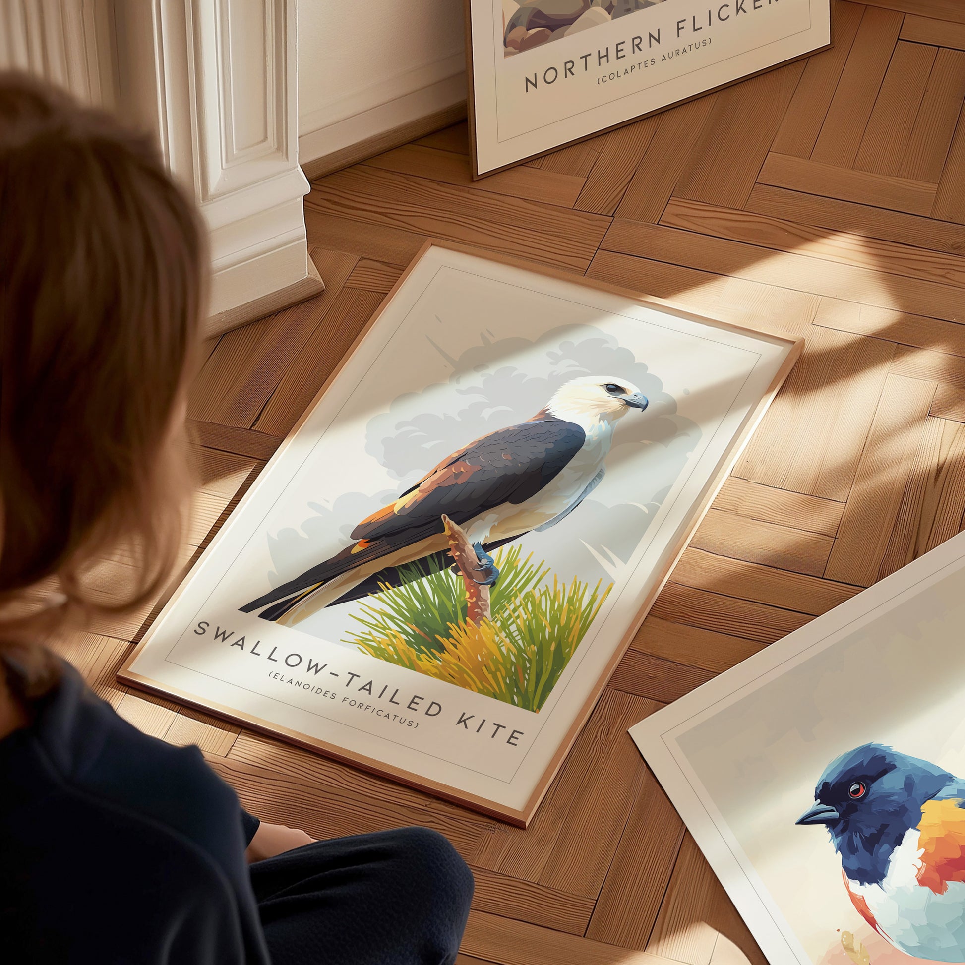 A child sits on a wooden floor, looking at a framed poster of a Swallow-tailed Kite perched on a green shrub. Other bird-themed posters are scattered nearby, highlighting various species in a cozy, well-lit room.