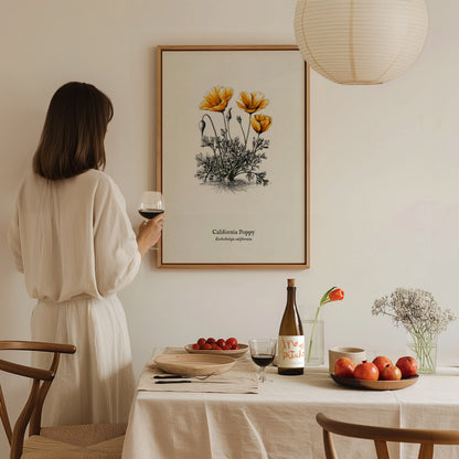 California Poppy Poster | Vintage Eschscholzia californica Botanical Illustration Wall Art — styled in a modern interior