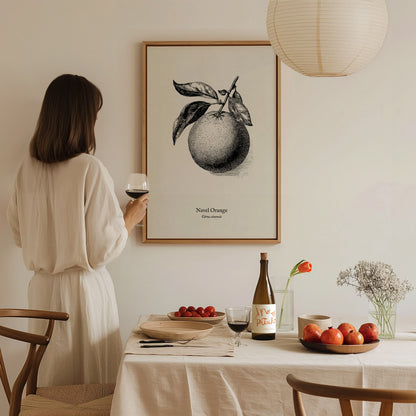 Navel Orange Poster | Citrus sinensis Pen and Ink Print Vintage Botanical Illustration — styled in a modern interior