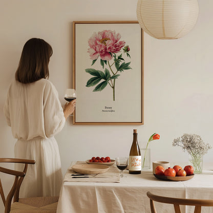 Peony Poster | Vintage Paeonia Lactiflora Botanical Illustration Wall Art — styled in a modern interior