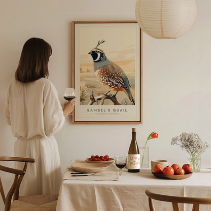 Gambel's Quail, Callipepla gambeli Poster | Desert Bird Wall Art Wildlife Print — styled in a modern interior
