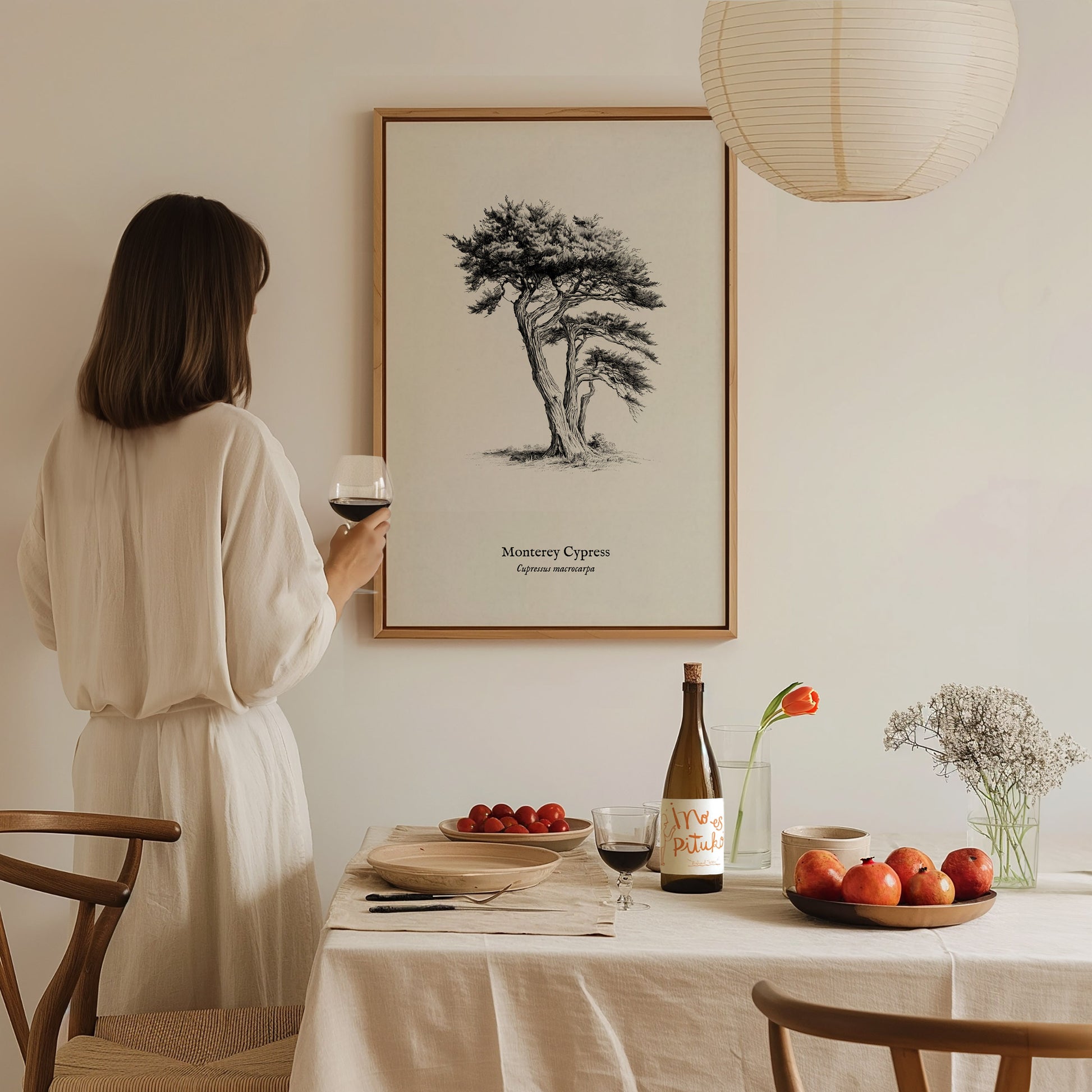 Monterey Cypress Poster | Cupressus macrocarpa Pen and Ink Print Vintage Botanical Illustration — styled in a modern interior
