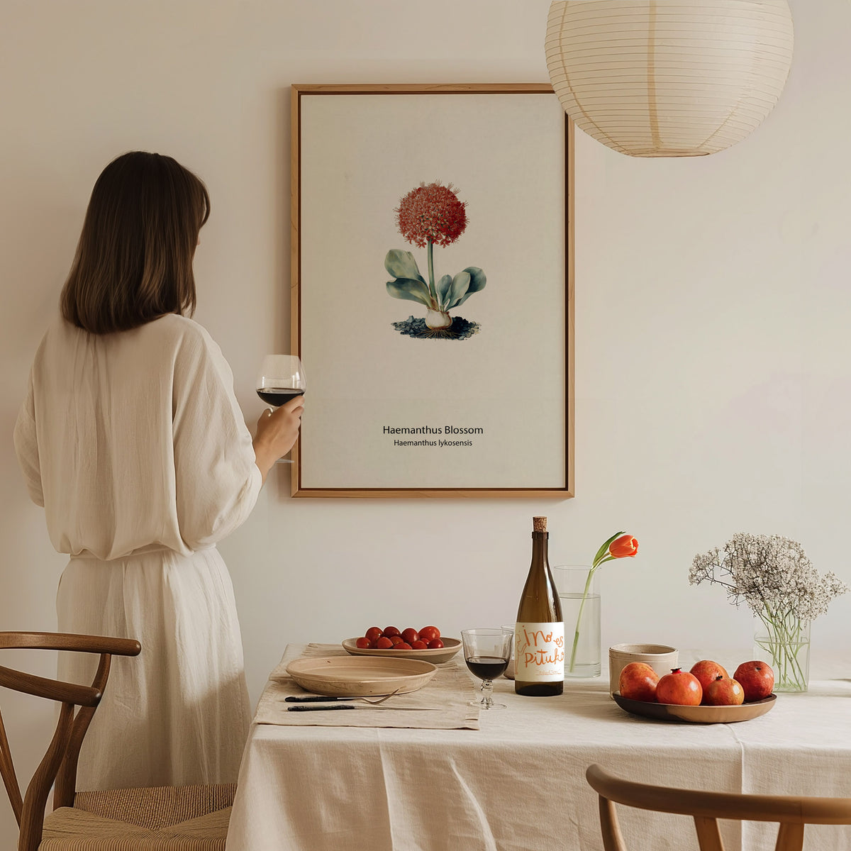 Haemanthus Blossom Poster | Haemanthus lykosensis Pen and Ink Print Vintage Botanical Illustration — styled in a modern inter