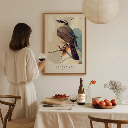 Canada Jay, Perisoreus canadensis Poster | Bold Boreal Bird Wall Art — styled in a modern interior