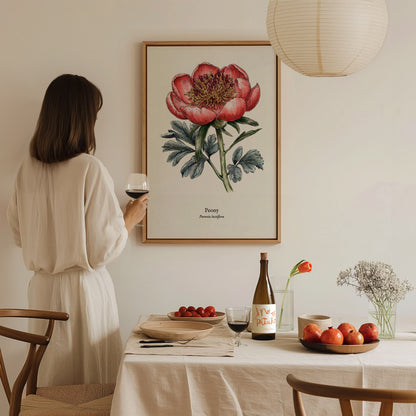 Peony Poster | Vintage Paeonia Lactiflora Botanical Illustration Wall Art — styled in a modern interior