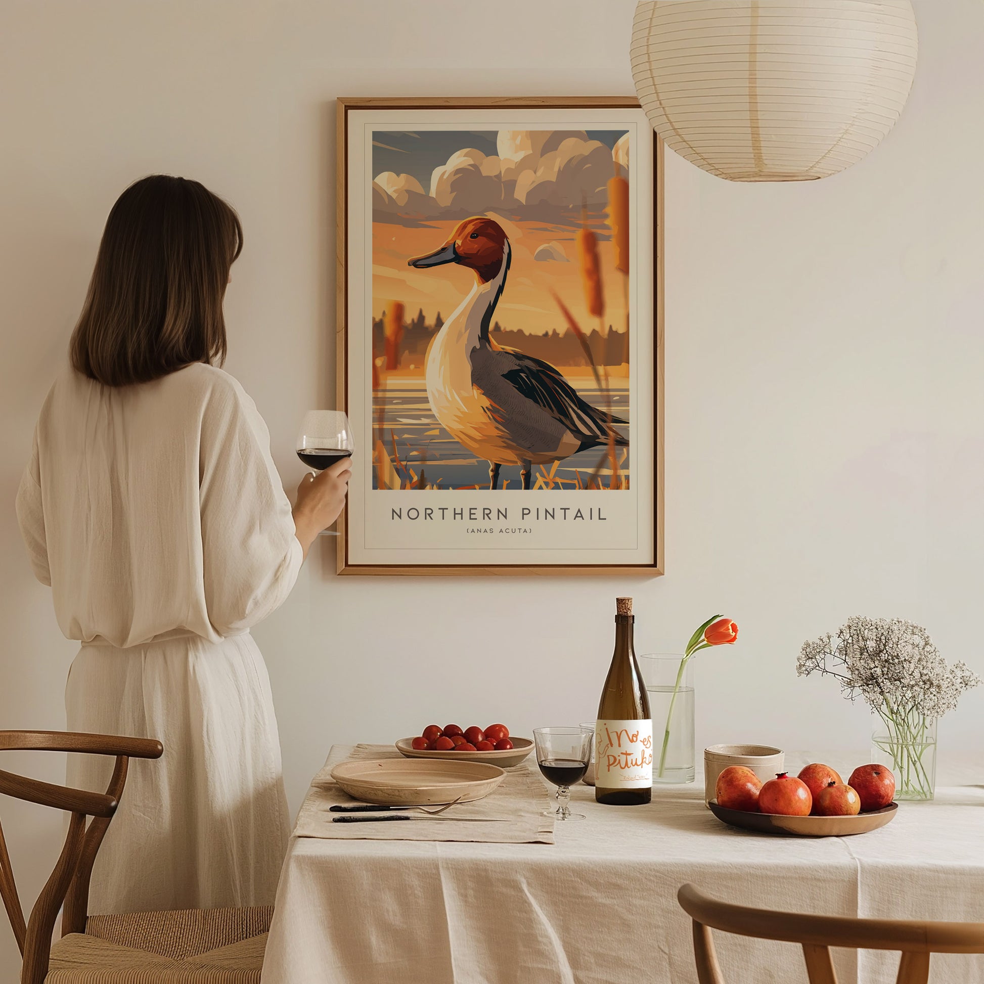 Northern Pintail, Anas acuta Poster | Elegant Waterfowl Bird Wall Art — styled in a modern interior