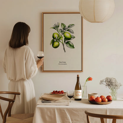 Key Lime Poster | Citrus aurantiifolia Vintage Botanical Illustration Pen and Ink Print — styled in a modern interior
