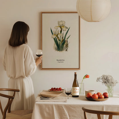 Bearded Iris Poster | Iris germanica Pen and Ink Print Vintage Botanical Illustration Wall Art — styled in a modern interior