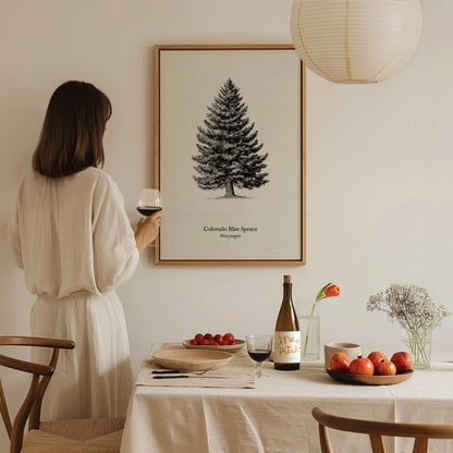 Colorado Blue Spruce Poster | Picea pungens Pen and Ink Print Vintage Botanical Illustration Wall Art — styled in a modern in