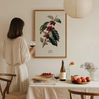 Coffee Poster | Vintage Coffea Arabica Botanical Illustration Wall Art — styled in a modern interior