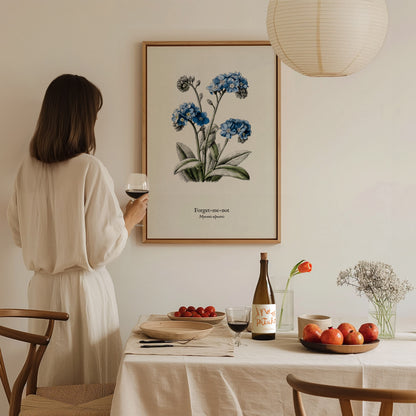 Forget-Me-Not Poster | Vintage Myosotis Alpestris Botanical Illustration Wall Art — styled in a modern interior