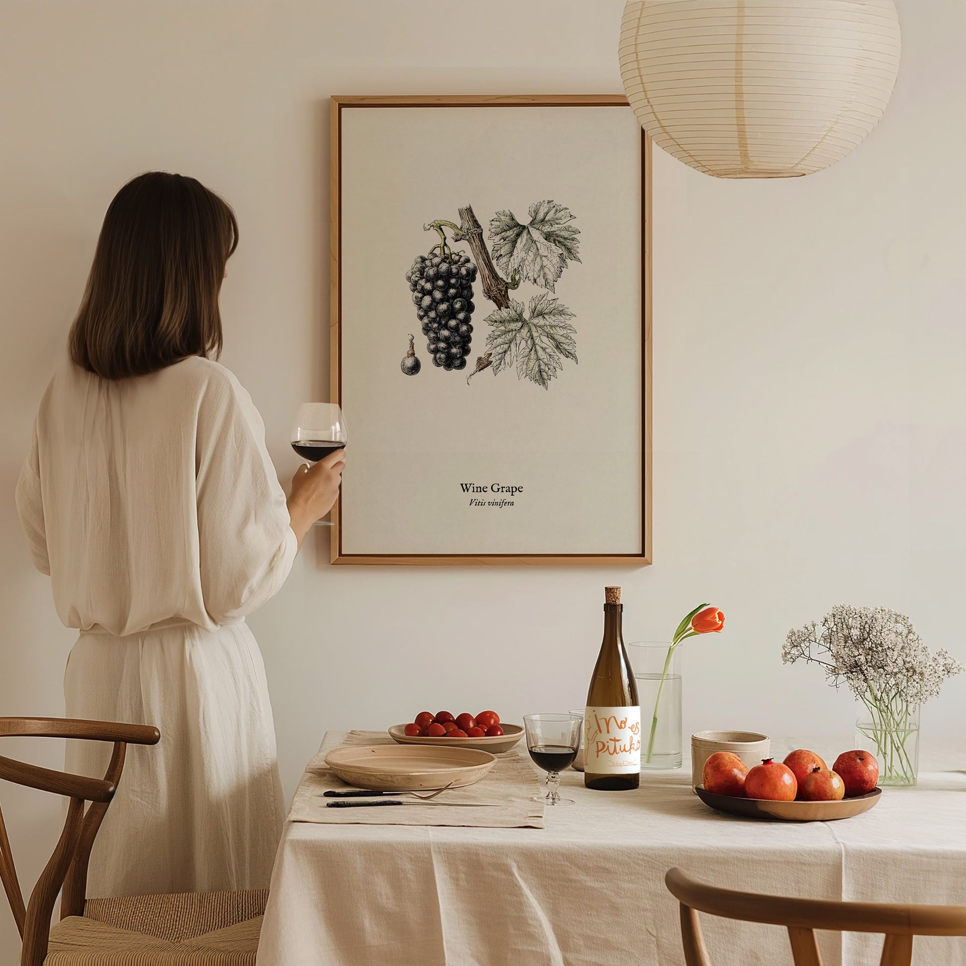 Wine Grape Poster | Vintage Vitis vinifera Botanical Illustration Wall Art — styled in a modern interior