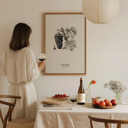 Wine Grape Poster | Vintage Vitis vinifera Botanical Illustration Wall Art — styled in a modern interior