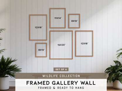 Wildlife Collection Gallery Wall | Set of 6 Framed Gallery Set | Curated Wall Art Bundle