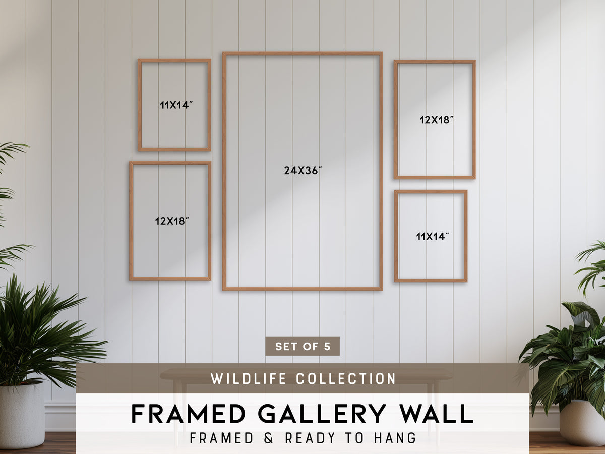 Wildlife Gallery Wall | Set of 5 | Wildlife Art Prints | Office Wall Art